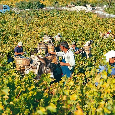 Cyprus Villages Und Umgebung - Lca01002-cyb توشني